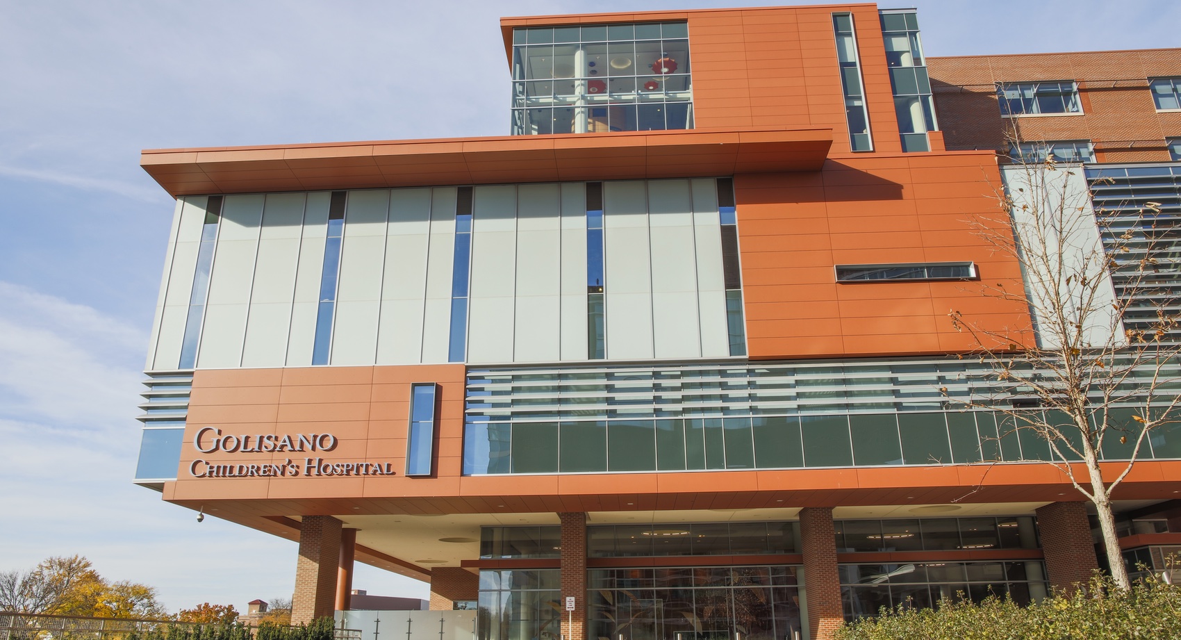 Golisano Children's Hospital, 150 Crittenden Boulevard, Rochester, NY